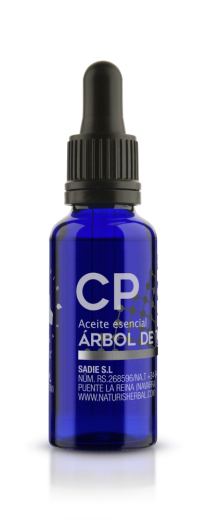 Arbol de Te Melaleuca