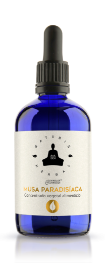 Musa Paradis�aca