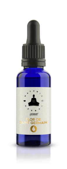 Flor de Saint Germain