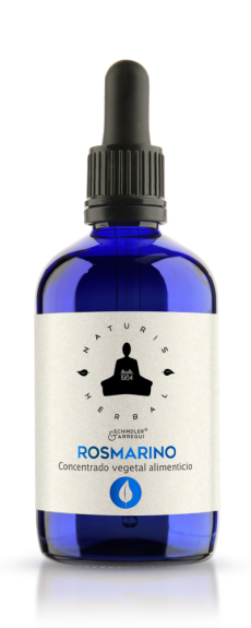Rosmarino
