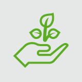 Preparation and artisanal processing